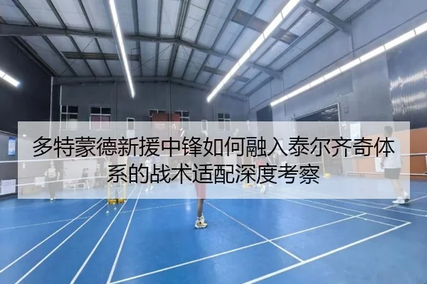 多特蒙德新援中锋如何融入泰尔齐奇体系的战术适配深度考察